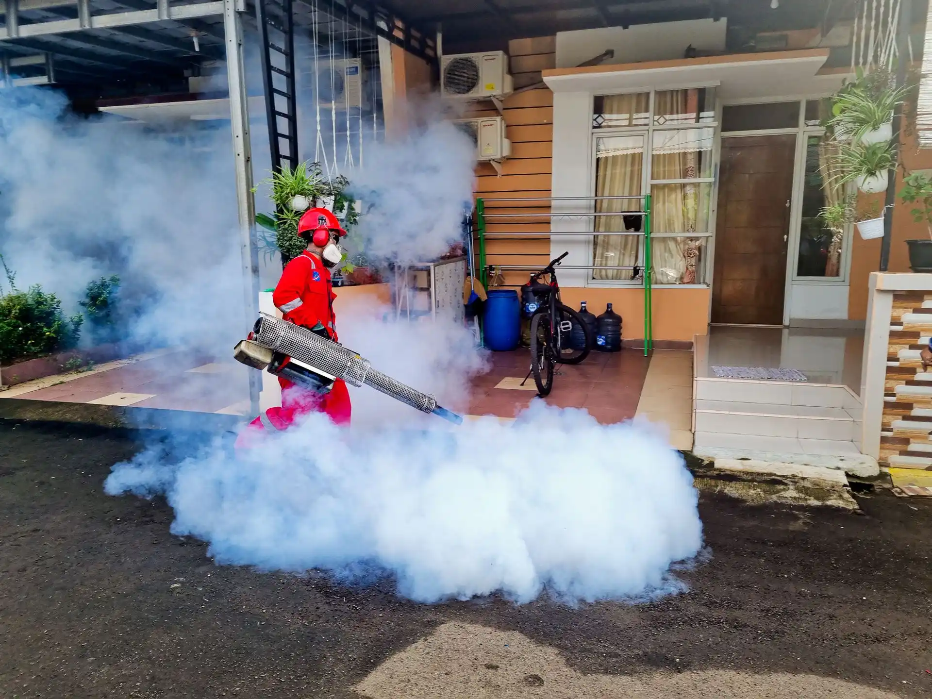 Why Pest Control Is a Strong Fit for Google Ads