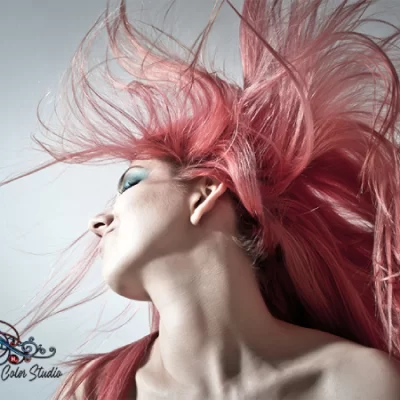 Hoboken Color Studio - Blue Monkfish LLC